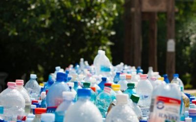Plastiques & emballages : avec les Carnot et le PEXE, toute la chaîne d’acteurs se mobilise pour accélérer l’innovation dans le recyclage et les alternatives biosourcées
