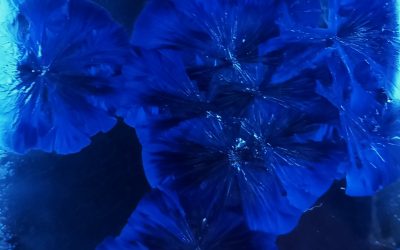 🎨🔬 Comment le laboratoire CRISMAT allie Science et Art: Présentation de la résidence « Vers l’Unitas Multiplex » Art-Science ! 🚀